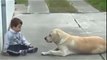 Sweet Mama Dog Interacting with a Beautiful Child with Down Syndrome Will Warm Your Heart!
