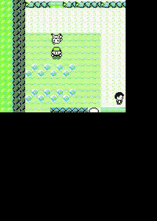 pokémon version jaune 3 Dresseur a gogo