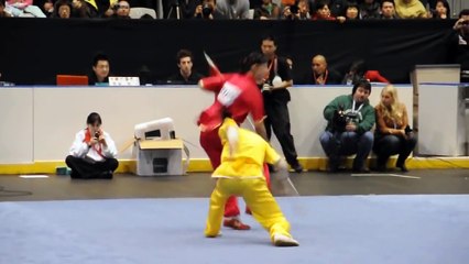 Démonstration de Wushu à Toronto