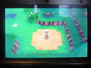 5, pokémon saphir alpha capture t'un chein légendaire