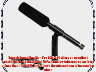 Sony ECM674 Shotgun Microphone for HVRZ1U