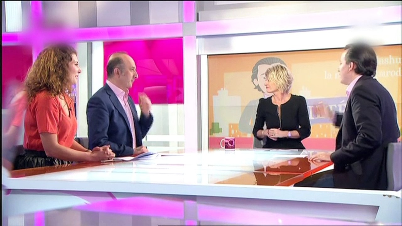 Un chroniqueur de "C'est au programme" (France 2) pète les plombs en direct! - WTM