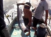 SURFING AND FISHING IN HAWAII