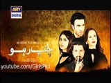 Chup Raho Episode 23 Promo - 27 January 2015 Ary Digital