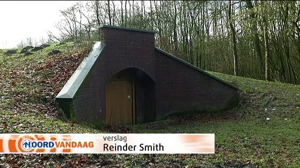 Eerste overwinterende vleermuis is net een klein, nat, grijs, harig bolletje aan het plafond - RTV Noord