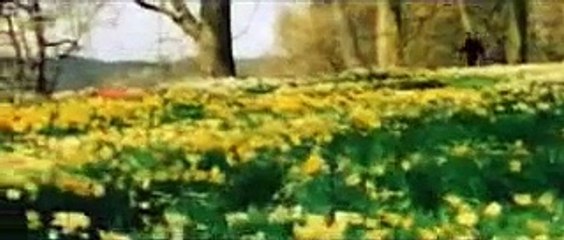 Tum Dil Ki Dharkan Mein Rahty o