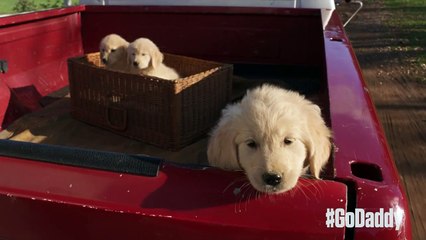 Journey Home - GoDaddy Super bowl advert