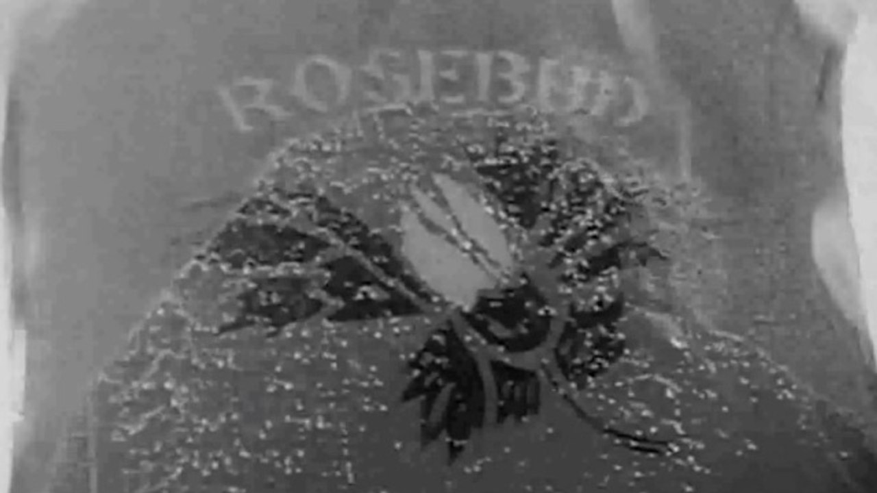 Ciutadà March (trailer)