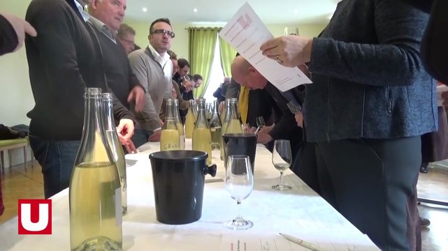 Que pensent oenologues et chefs de cave des vins des coteaux vitryats