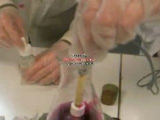 Video Experience Overview 🎥