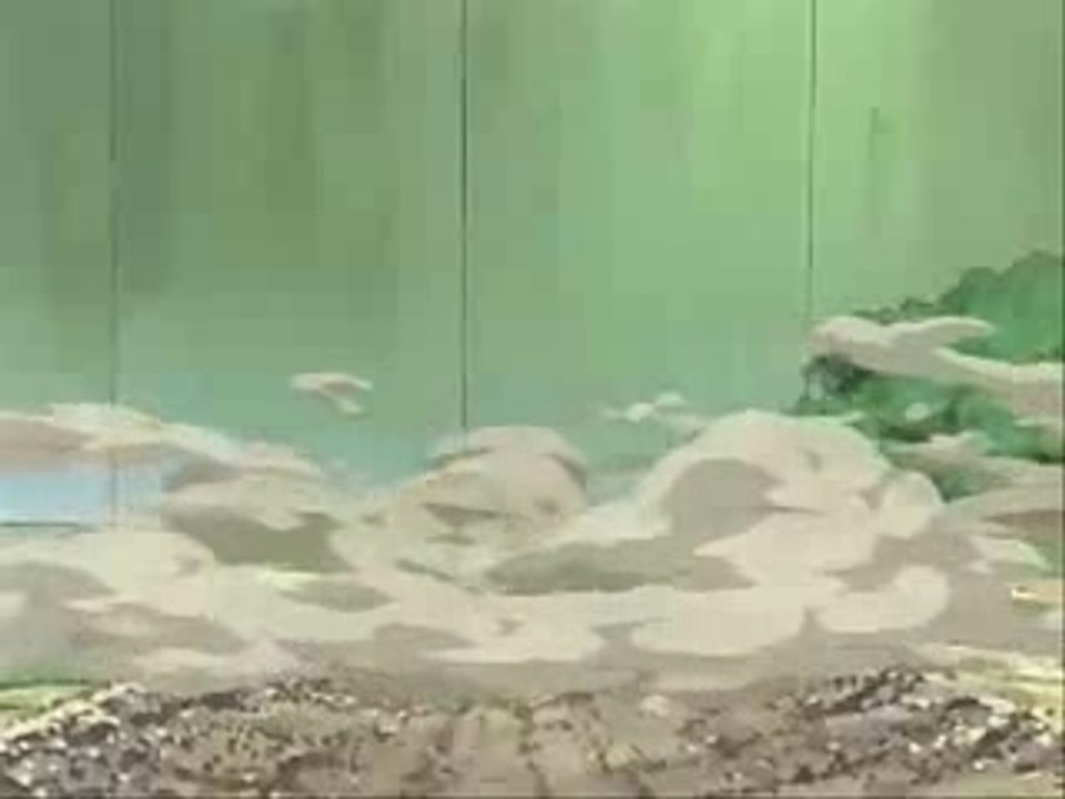 Fight ! (sasuke-gaara)