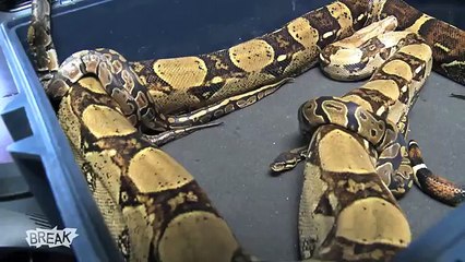 Jenna Marbles Halloween Prank on DeStorm