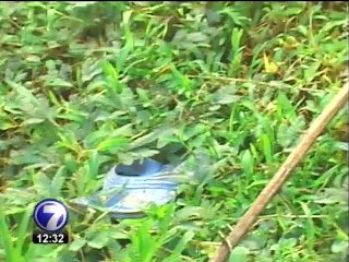 OIJ confirma que mujer encontrada en Guápiles fue violada y luego asesinada