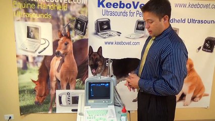 KX2600V Animal Vet Ultrasound / Basic Information