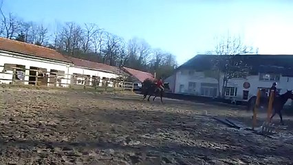 Deuxième séance de saut monté