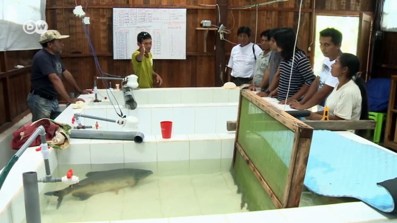 Perus Amazonien: Flüsse ohne Fische |