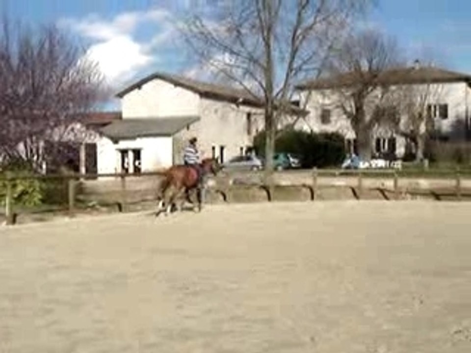 Newton - galop droite