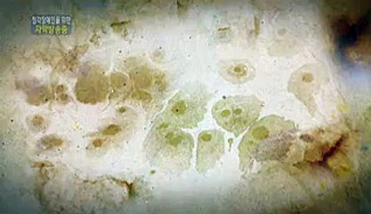 마산오피걸매니저-밤전 트위터