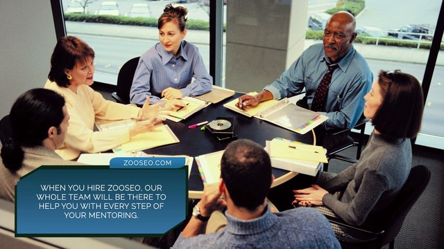 Zoo Seo Offers comprehensive website mentoring