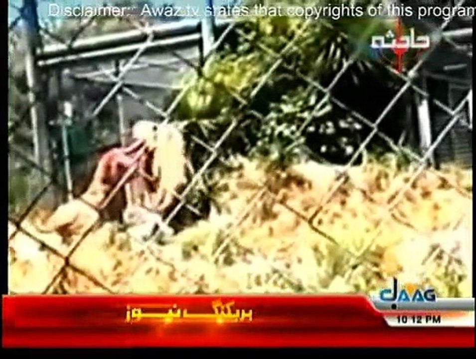 Hadisa - 27th January 2015