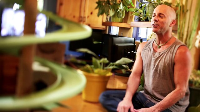 Une maison transformée en terrain de jeux pour chats