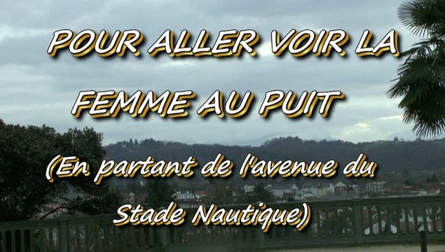 LES PROMENADES DE MICHOU64 W-D.D. - 27 JANVIER 2015 - PAU - POUR ALLER VOIR LA FEMME AU PUITS DE E. GABARD.