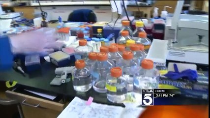 Scientists Find Way To 'Unboil' An Egg, And Say It