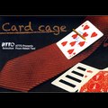 Card Cage by Hideki Tani - Card Magic Trick