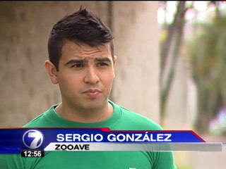 Osa perezosa agredida el domingo lucha por mantenerse con vida