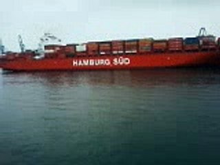 Atracção do santa cruz na santos brasil