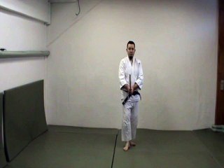 Tachi otogai ken ni rei ni (gedan)