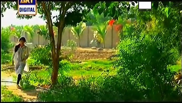 Tootay Huway Taray Episode 205 Full on Ary Digital - January 27