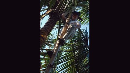 Пидорасы Невеев и Абрамов))