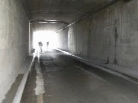 Rats des villes et rats des champs - road trip velo urbain