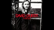 David Guetta - Rise (feat. Skylar Grey) [Audio]