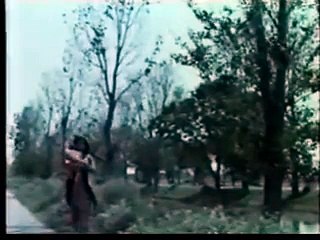 KHOOBSURAT - 1982 - (Superhit Pakistani Film) - (Pt. 2)