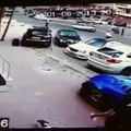 cat attacked a dog  В Баку Кот бросился на собачку