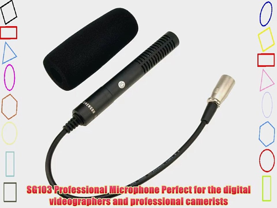 Neewer Black Professional 3-Pin XLR Interface Condenser Microphone for Cameras/Camcorder SG-103