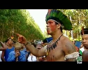 Arbol del dinero, arbol malo