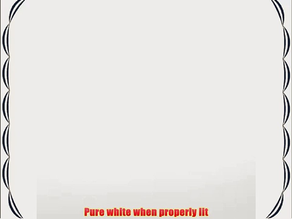 Savage 8x20' Matte Finish Pure White Infinity Series Vinyl Background