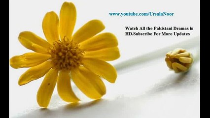 Saltanat e Dil Promo 3 New Drama on Geo Tv (1)