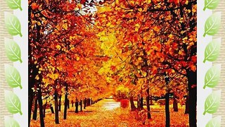Charming Autumn Leaves 10' x 10' CP Backdrop Computer Printed Scenic Background