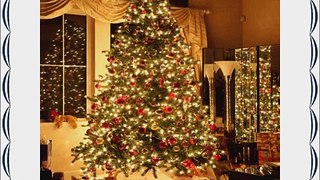 Christmas Tree 8' x 8' CP Backdrop Computer Printed Scenic Background