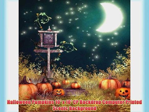 Halloween Pumpkins 10' x 10' CP Backdrop Computer Printed Scenic Background