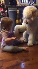 What A Beautiful Moment Between This Girl And Her Puppy