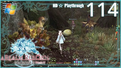 FINAL FANTASY XIV：A Realm Reborn (PC) - Pt.114 【Female Miqo'te】