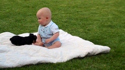 Adorable Puppy Attacks Baby