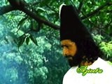 Tere Wade Par Jiye Hum To Yeh Jaan *Chitra Singh* { The Great Mirza Asad Ullah Khan Ghalib }