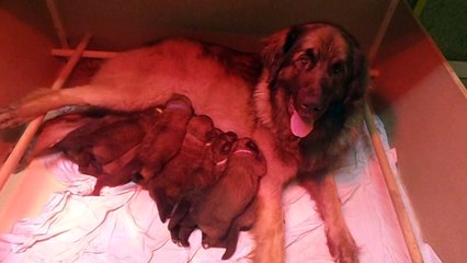 C'est l'heure de la tétée