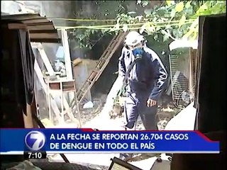 Alerta sanitaria por dengue fue declarada de interés público